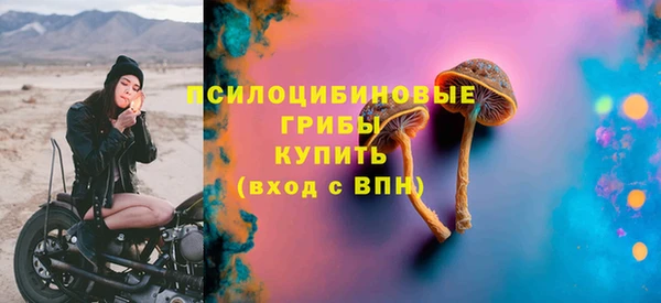 крисы Алзамай