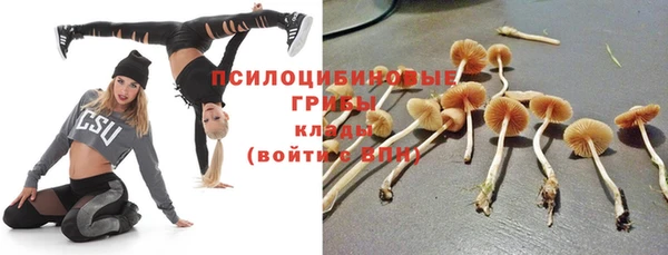 круглые Осташков