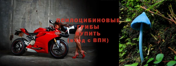 крисы Алзамай